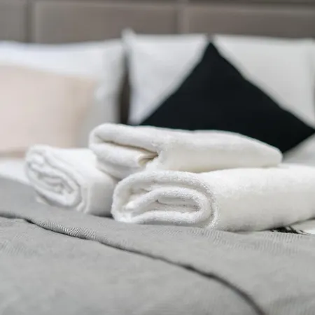 Διαμέρισμα Park Krakowski Loft By Bookinghost