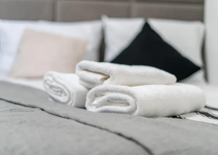 Park Krakowski Loft By Bookinghost